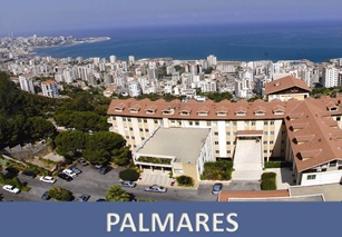 Palmares