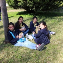 سوا نبني الجسور بين الأرض... والسما